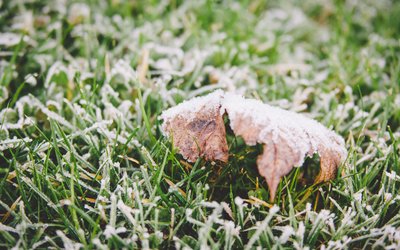 15719684366507.jpg t01527d9752633de94d.jpg