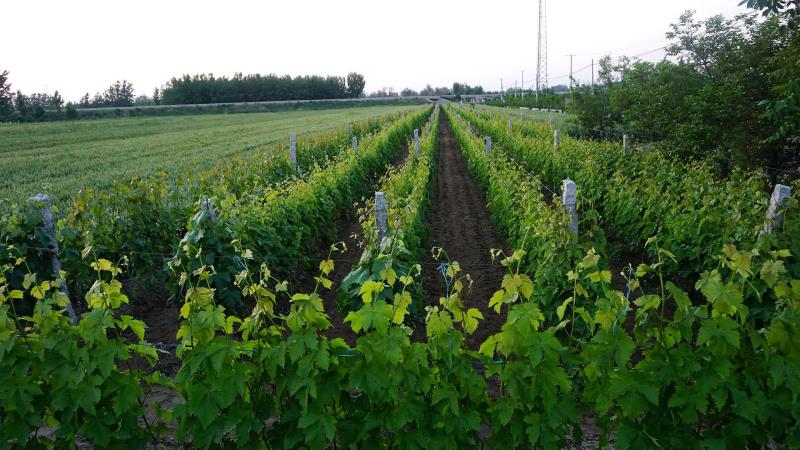 16690977439962.jpg 87b0efdadc0d9e00f5ffe2d404c11d4.jpg