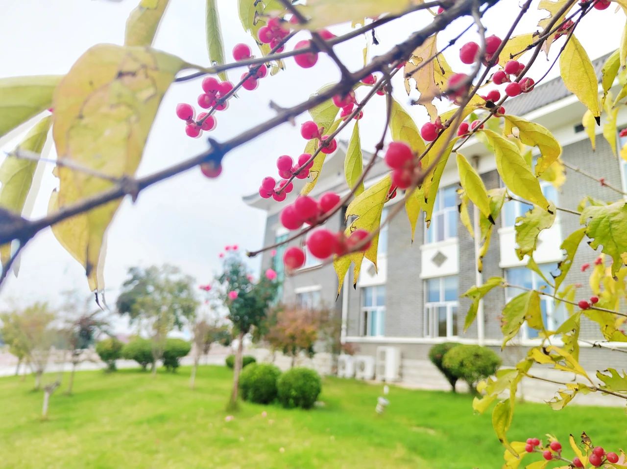 17114128145583.jpg eb1fb07fb96d0eefb623e3c63d0bc11e.jpg