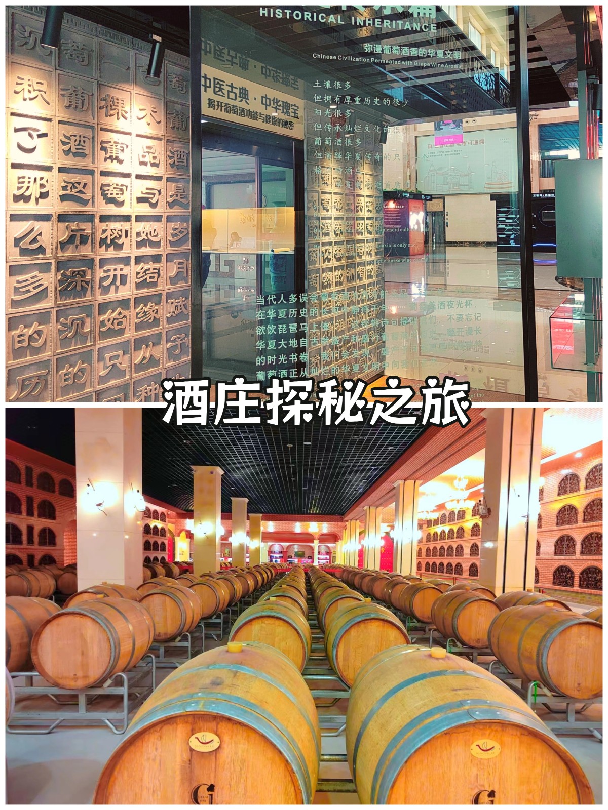 酒莊探秘之旅.jpg